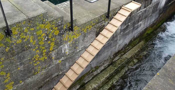 Biberrampe am Mühleplatz in Luzern