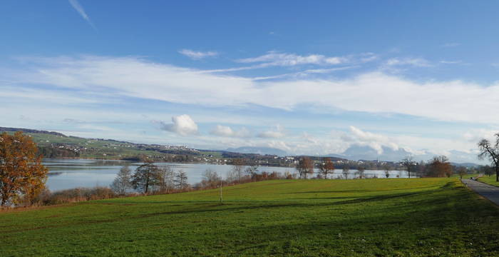 Westseite des Baldeggersees - Foto: IG Weitsicht