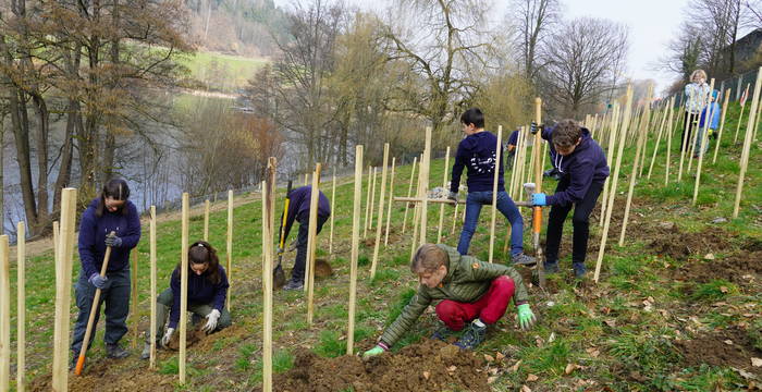 Arbeitseinsatz (4.3.23)