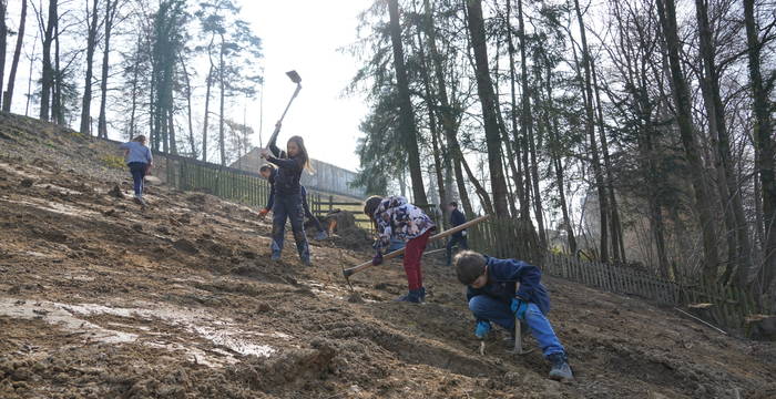 Arbeitseinsatz (4.3.23)