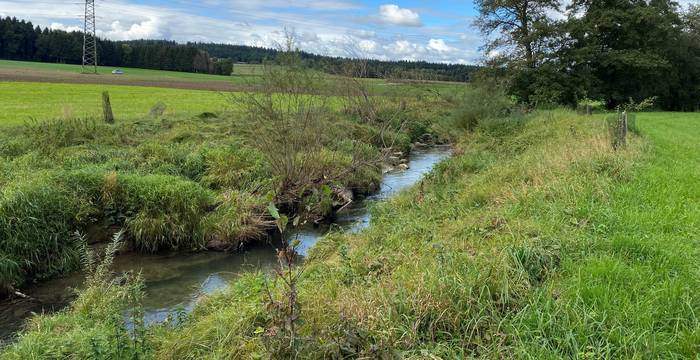 Biberlebensraum Pfaffnere