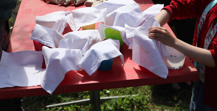 Pflanzentauschbörse