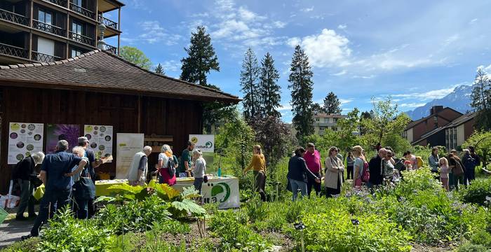 Pflanzentauschbörse