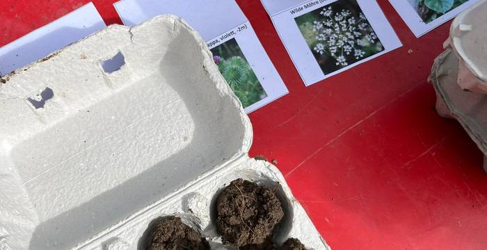 Pflanzentauschbörse