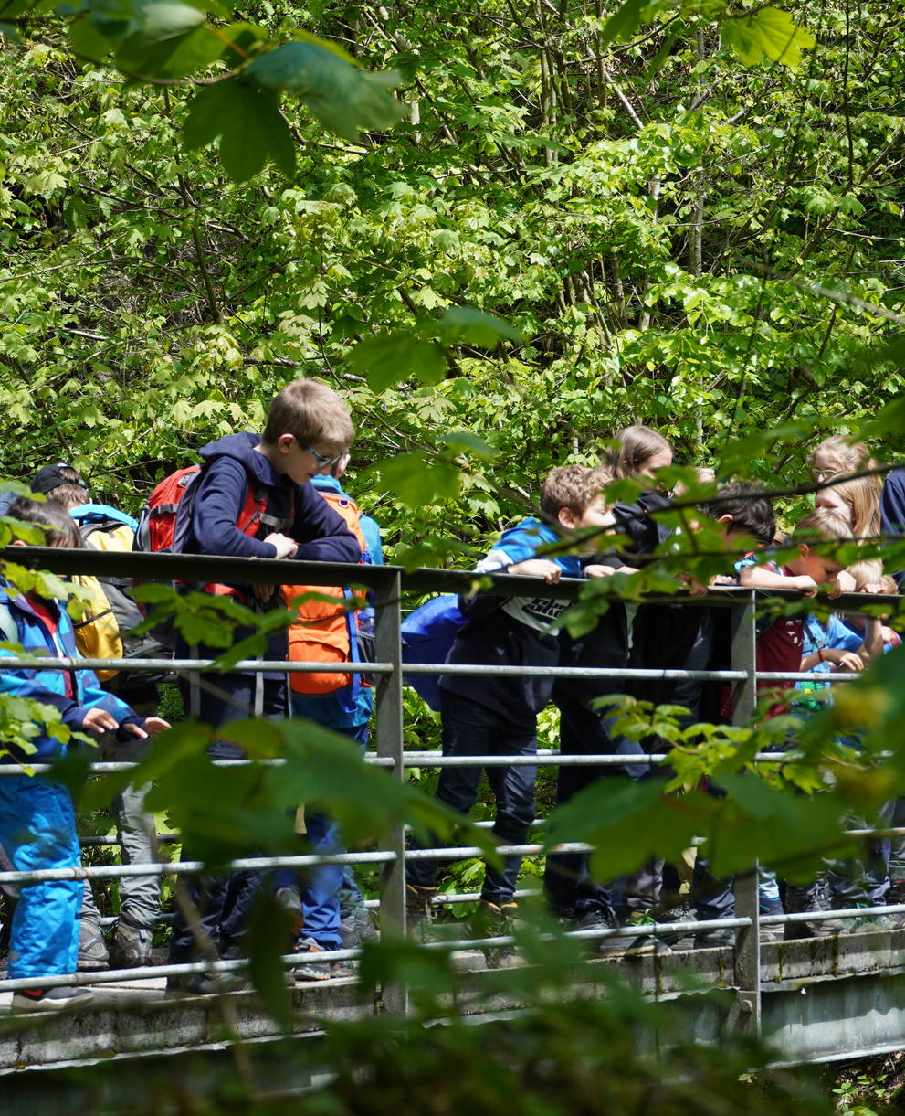 Entdeckungstour in der Rengglochschlucht
