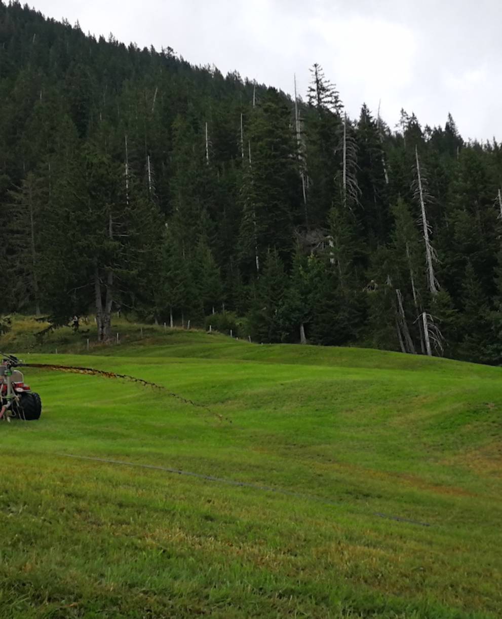 Gülleverteiler - Foto: Samuel Ehrenbold