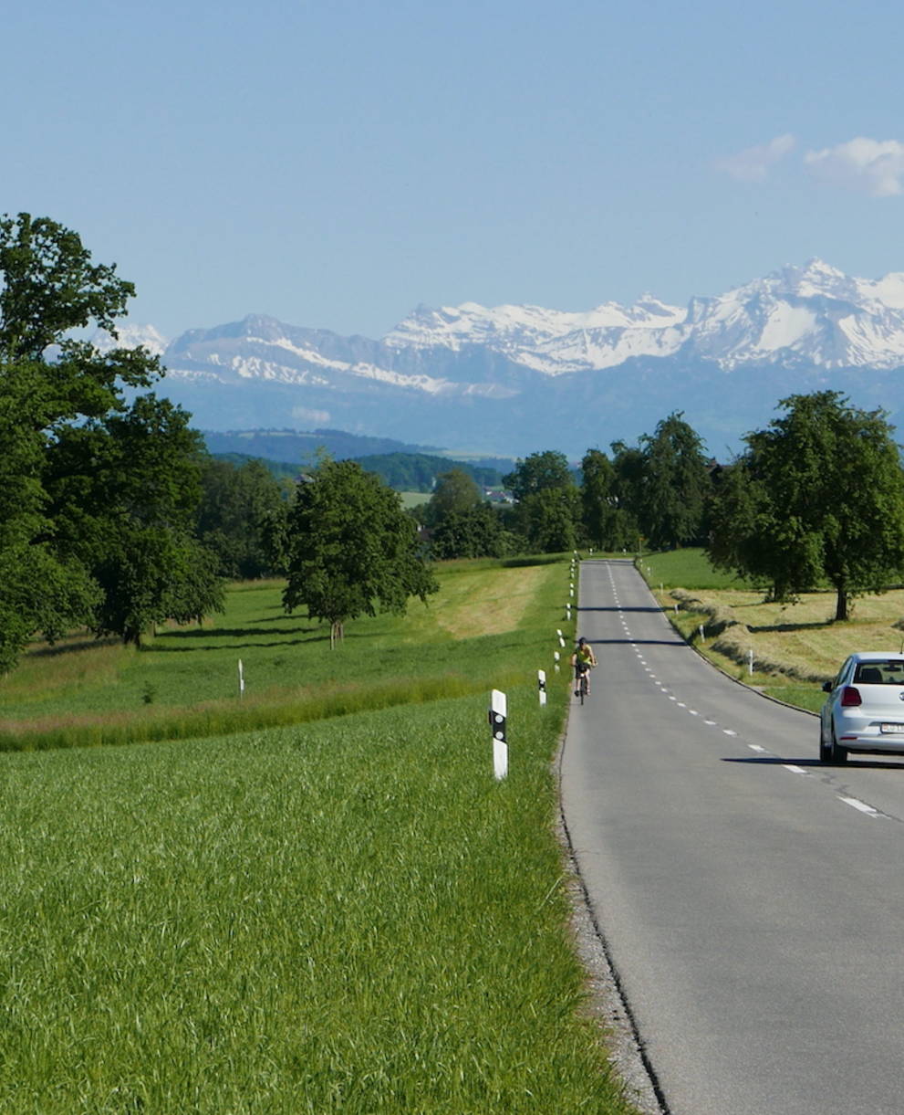 Strasse auf der Westseite des Baldeggersees - Foto: IG Weitsicht