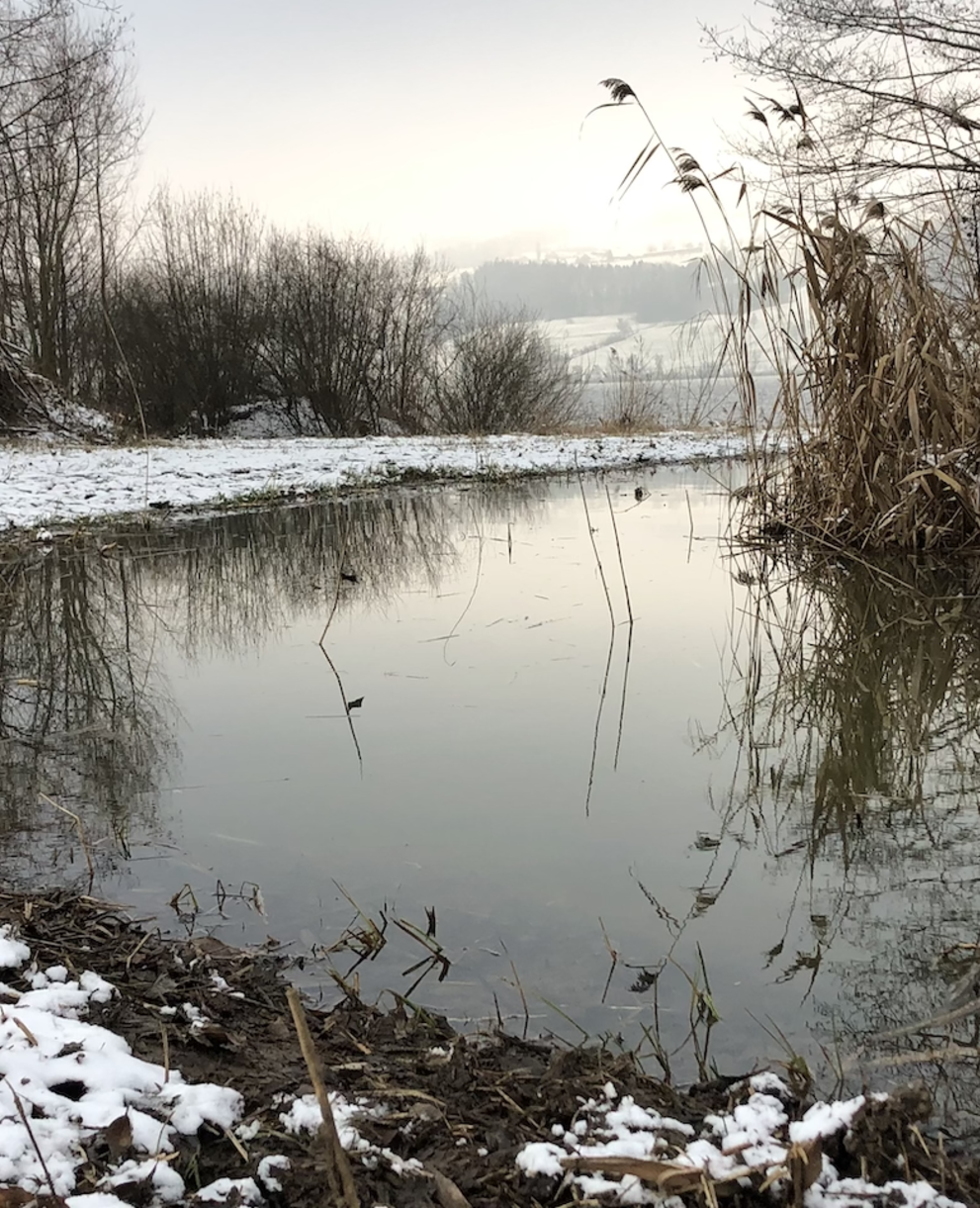 Weiher im Seefeld. Foto: Marianne Baruffa