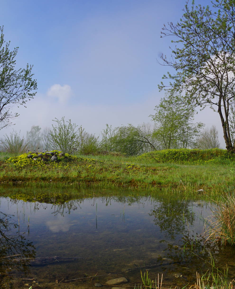 Schutzgebiet Grueb in Triengen