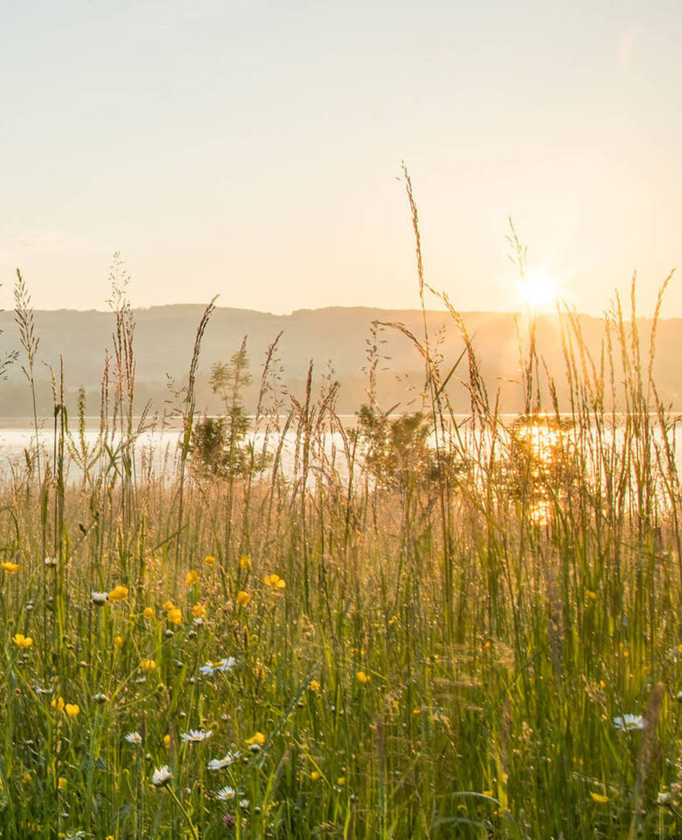 Sonnenuntergang am Baldeggersee