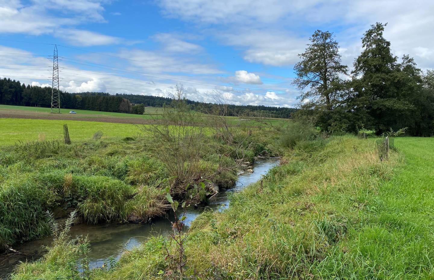 Biberlebensraum Pfaffnere
